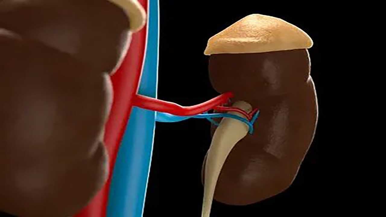 Foto - Genç kızın yıllar süren çilesi mucize operasyonla son buldu! Teşhis konulamayan o sinsi hastalıktan kendi organıyla kurtuldu