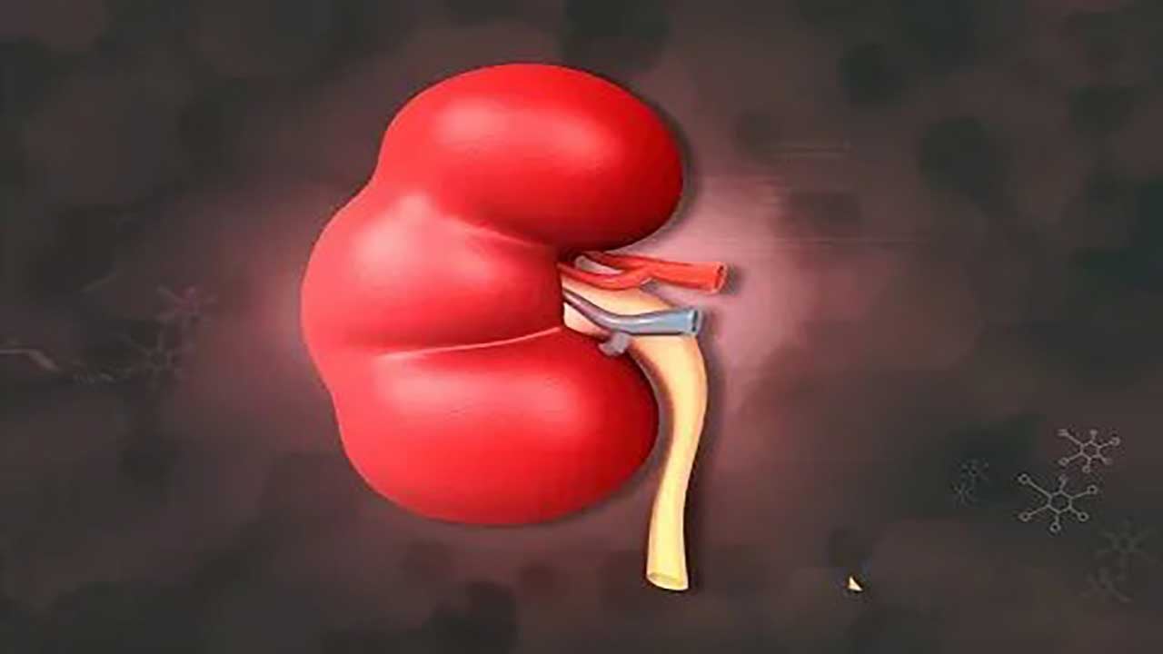 Genç kızın yıllar süren çilesi mucize operasyonla son buldu! Teşhis konulamayan o sinsi hastalıktan kendi organıyla kurtuldu