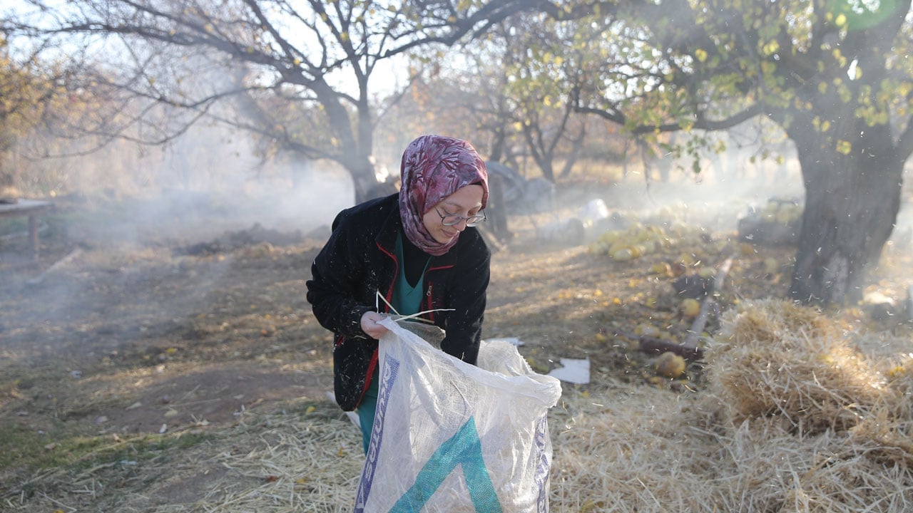 Foto - Genç veterinerden başarı hikayesi! Devlet desteğiyle 30 düve alıp kendi çiftliğini kurdu