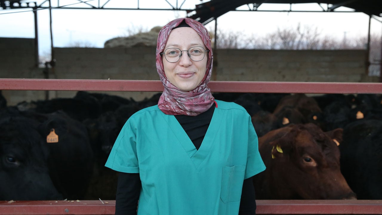 Foto - Genç veterinerden başarı hikayesi! Devlet desteğiyle 30 düve alıp kendi çiftliğini kurdu