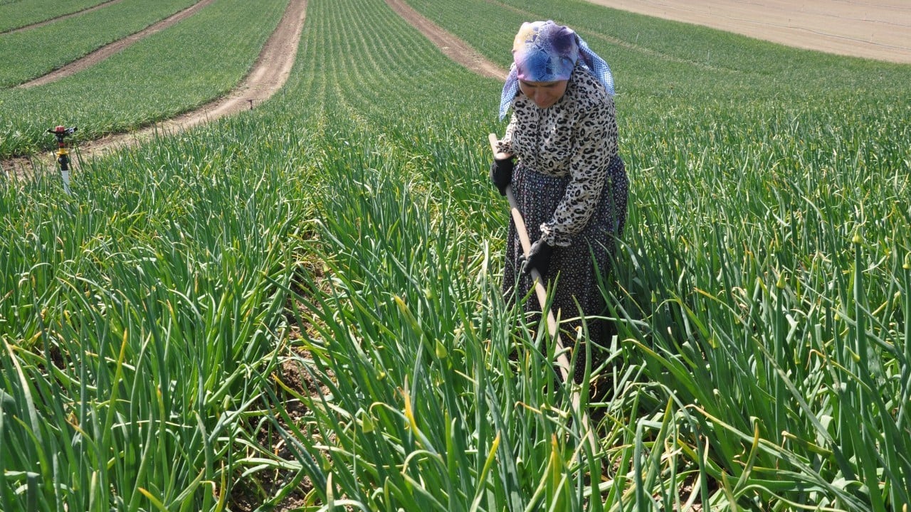 Foto - Gerçek emekçiler 1 Mayıs'ta güneş altında mesaideydi