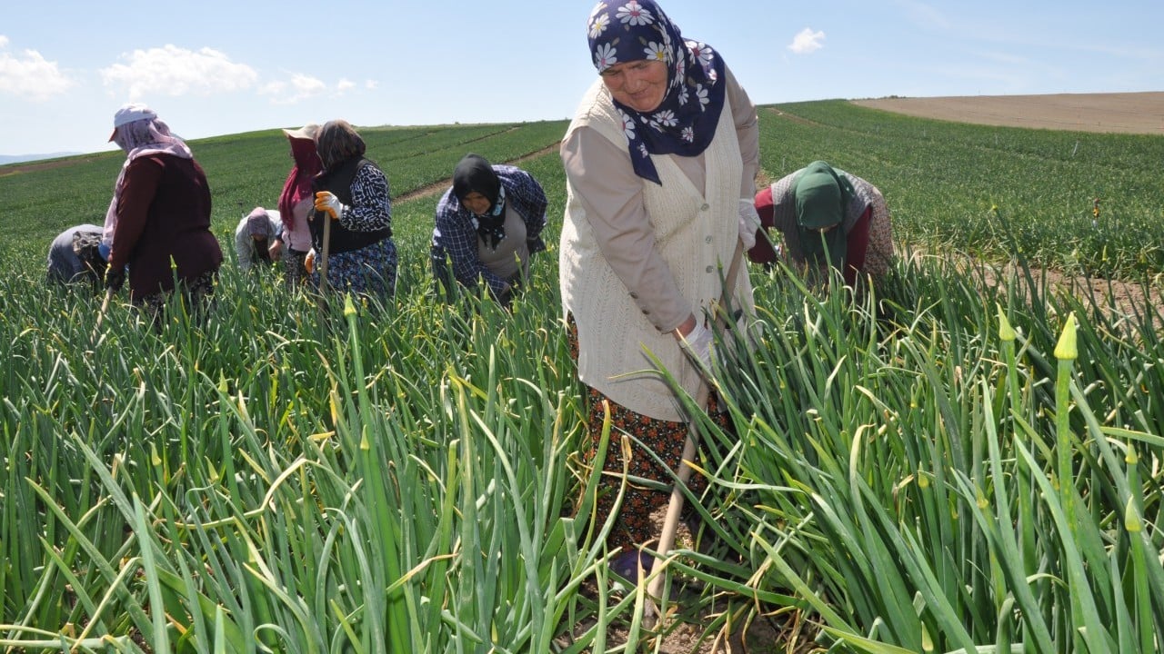 Foto - Gerçek emekçiler 1 Mayıs'ta güneş altında mesaideydi