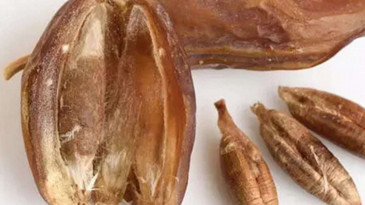 Foto - Gerçekten hurmanın faydalarını say say bitmiyor! Meğer neler yapıyormuş vücudumuza... İftarda da sahurda da...