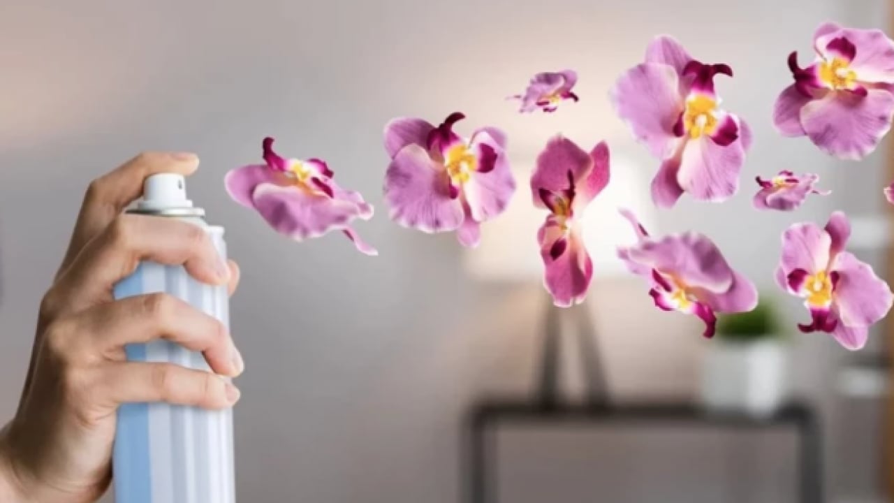 Foto - Geri dönülmez etkileri... Güzel koku mu, gizli tehlike mi? Evinizdeki 'sinsi' tehdide dikkat