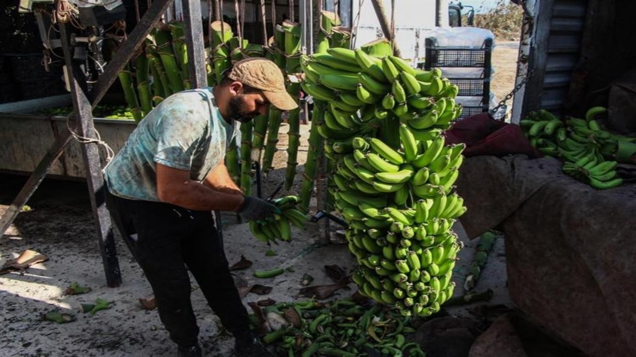 Foto - Getirisi rekor kırınca bütün şehir üretime başladı! 100 kat arttı, siparişlere yetişemiyorlar