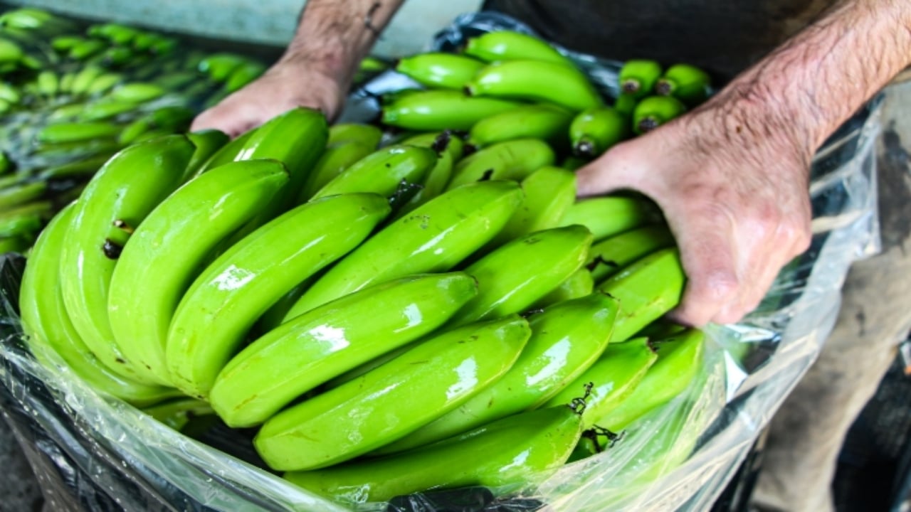 Foto - Getirisi rekor kırınca bütün şehir üretime başladı! 100 kat arttı, siparişlere yetişemiyorlar