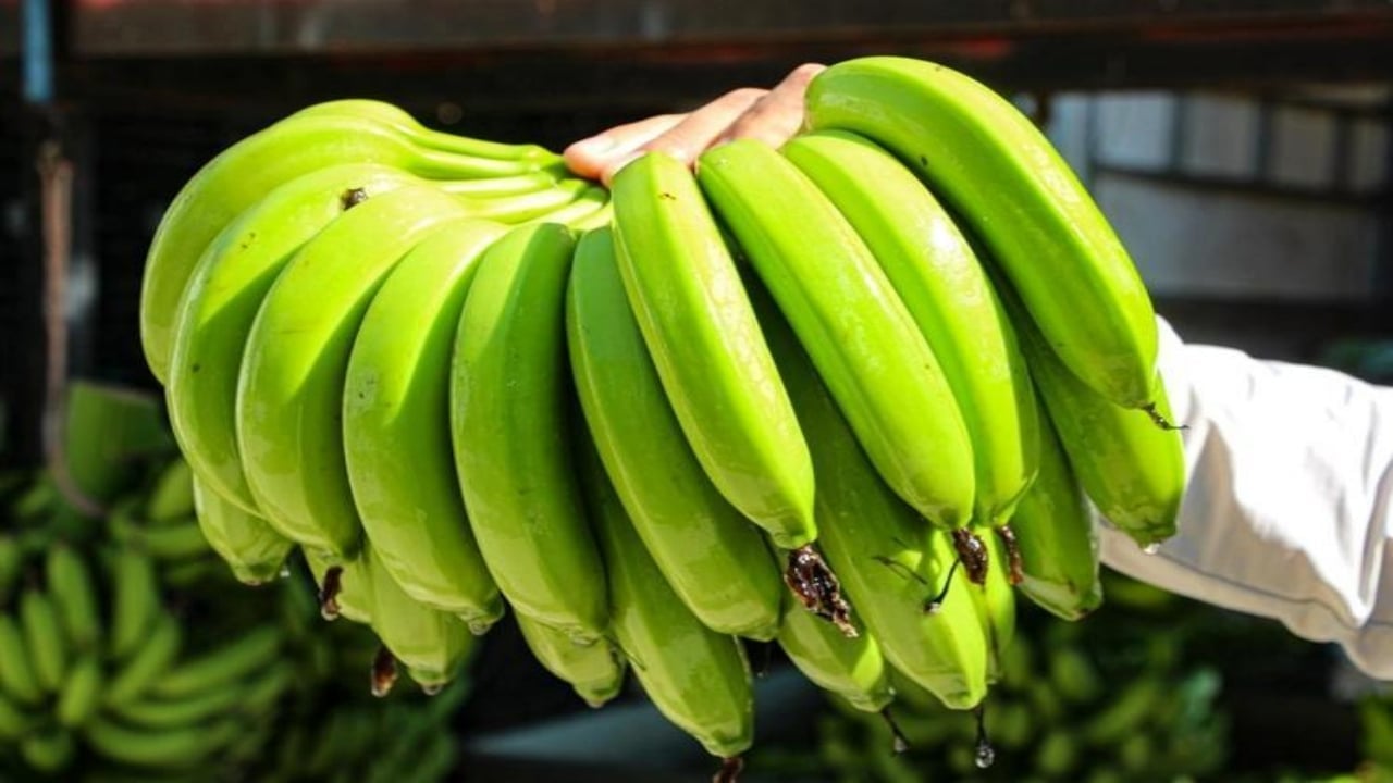 Foto - Getirisi rekor kırınca bütün şehir üretime başladı! 100 kat arttı, siparişlere yetişemiyorlar