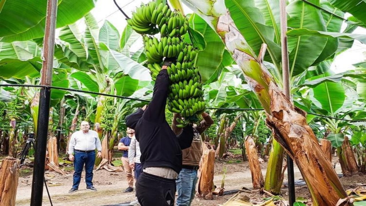 Foto - Getirisi rekor kırınca bütün şehir üretime başladı! 100 kat arttı, siparişlere yetişemiyorlar
