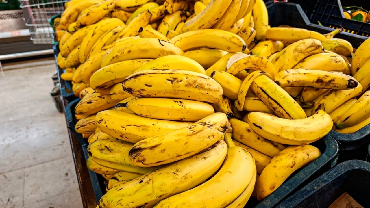 Foto - Getirisi rekor kırınca bütün şehir üretime başladı! 100 kat arttı, siparişlere yetişemiyorlar