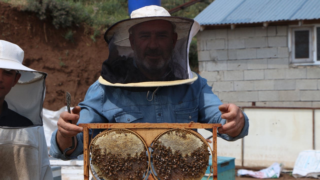 Foto - Geven çiçek açtı, kalite beklentisi yükseldi! Üreticiler son yılların en iyi sezonunu bekliyor