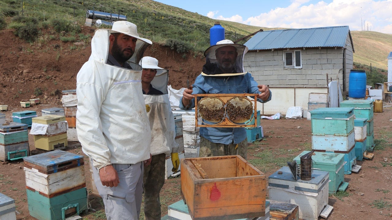 Foto - Geven çiçek açtı, kalite beklentisi yükseldi! Üreticiler son yılların en iyi sezonunu bekliyor