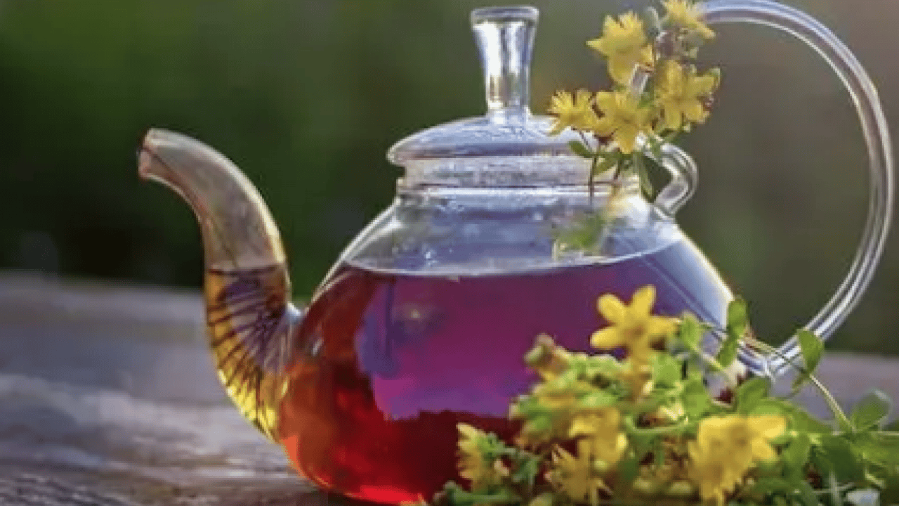 Foto - Gevşeme, cildi parlatma ve daha neler neler: Sarı Kantaron Çayının Mucizevi Faydaları