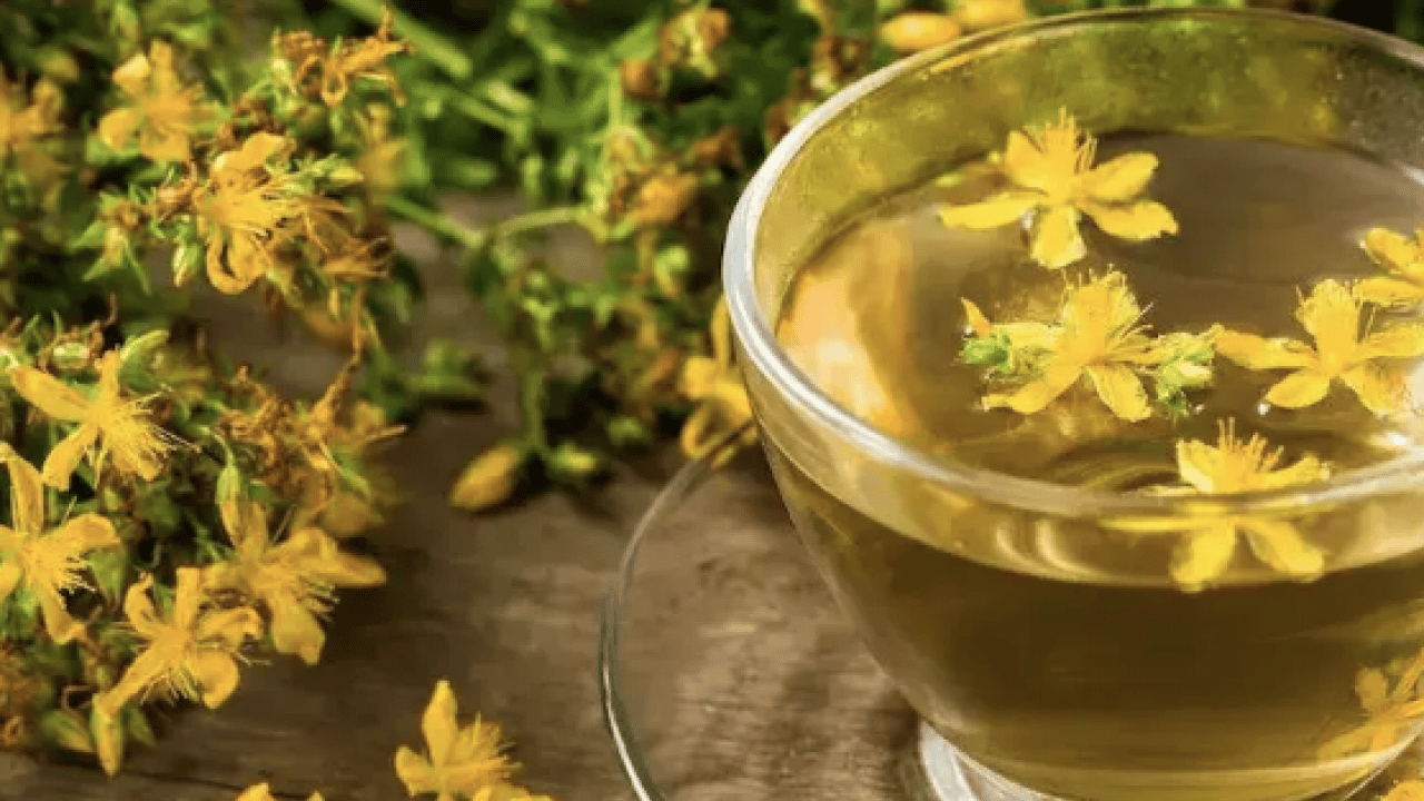 Foto - Gevşeme, cildi parlatma ve daha neler neler: Sarı Kantaron Çayının Mucizevi Faydaları