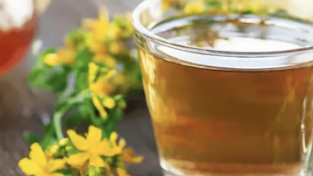 Foto - Gevşeme, cildi parlatma ve daha neler neler: Sarı Kantaron Çayının Mucizevi Faydaları