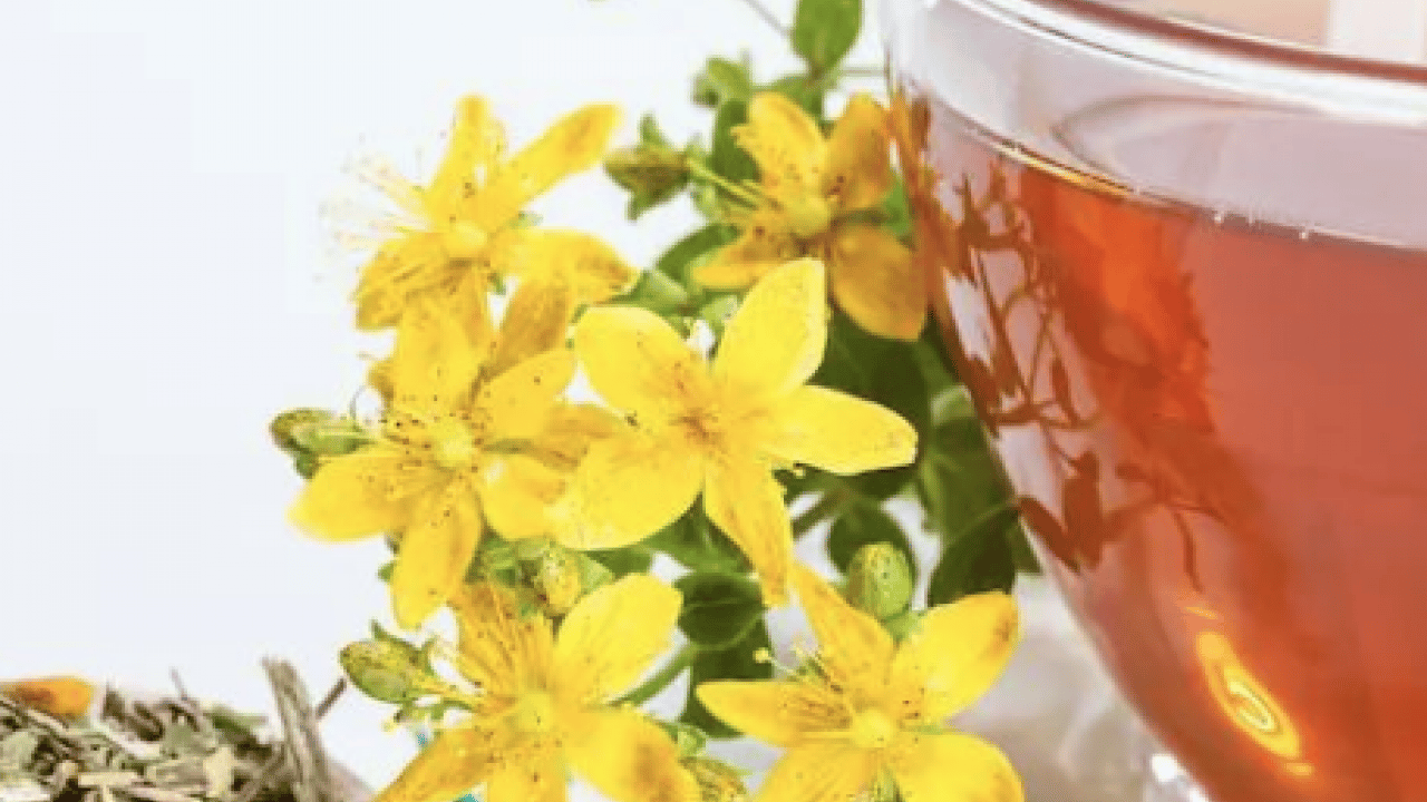 Foto - Gevşeme, cildi parlatma ve daha neler neler: Sarı Kantaron Çayının Mucizevi Faydaları