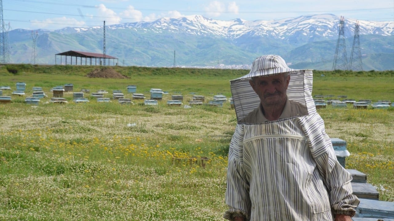 Foto - Gezgin arıcılar Muş Ovası'nda Dere tepe dolaşıp bal topluyorlar