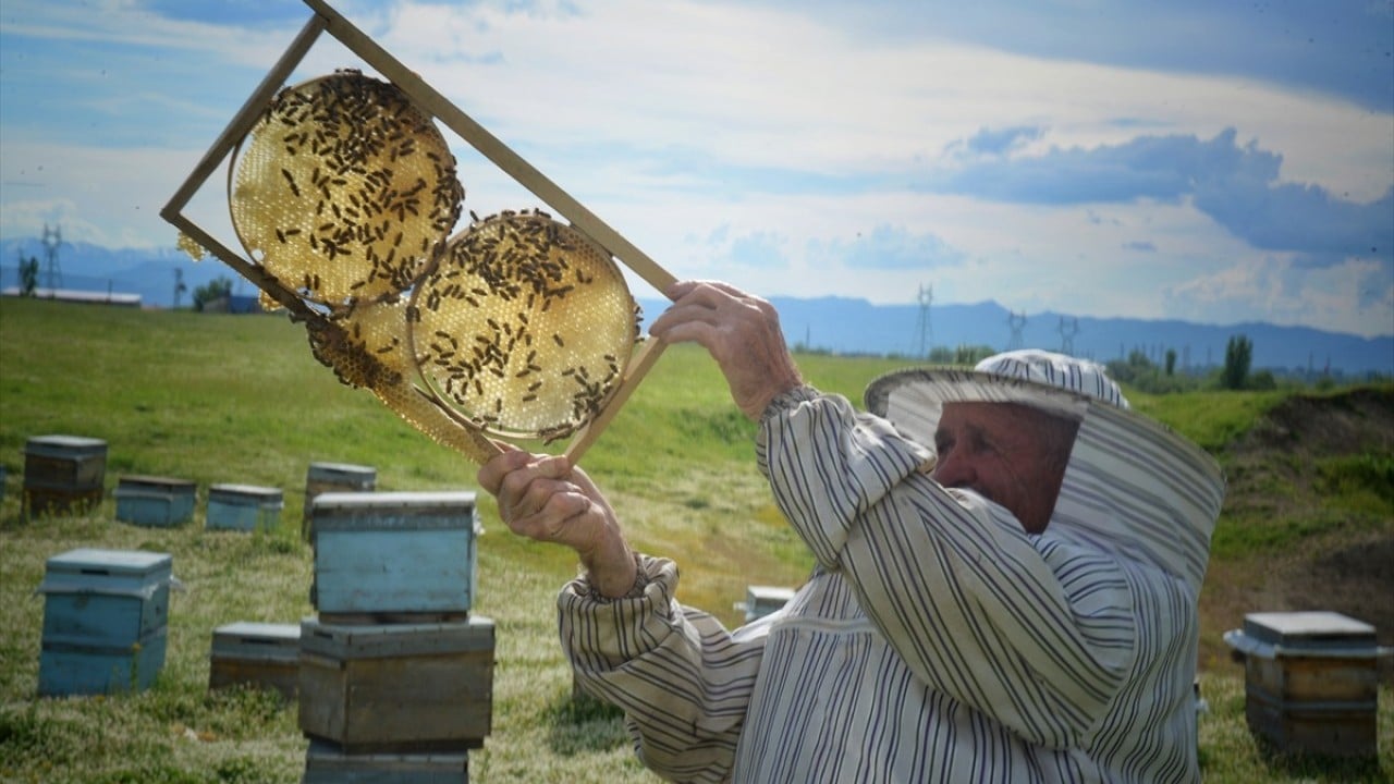 Foto - Gezgin arıcılar Muş Ovası'nda Dere tepe dolaşıp bal topluyorlar