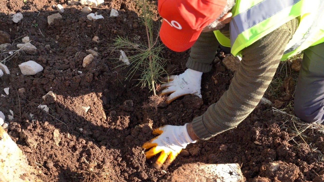 Foto - Gezi çapulcularına ibret olsun: Petrol üssü Gabar'a yeşil gerdanlık!