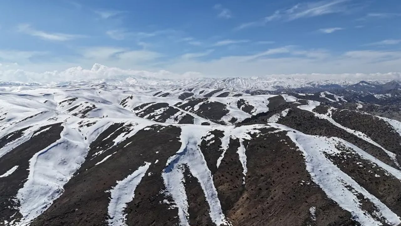 Foto - Gıda biliminde o yağlar gerçekten önemli: Toroslar'dan topluyor, Avrupa'dan bile sipariş yağıyor! 