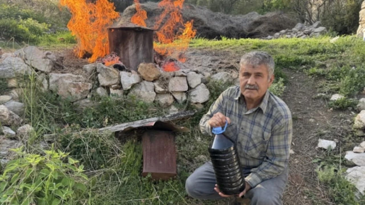 Gıda biliminde o yağlar gerçekten önemli: Toroslar'dan topluyor, Avrupa'dan bile sipariş yağıyor! 