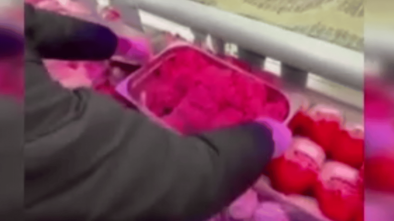 Foto - Gıda denetiminde skandal ortaya çıktı! Halk sağlığını tehdit eden işletmeye ağır ceza! 25 kilo kıyma imha edildi