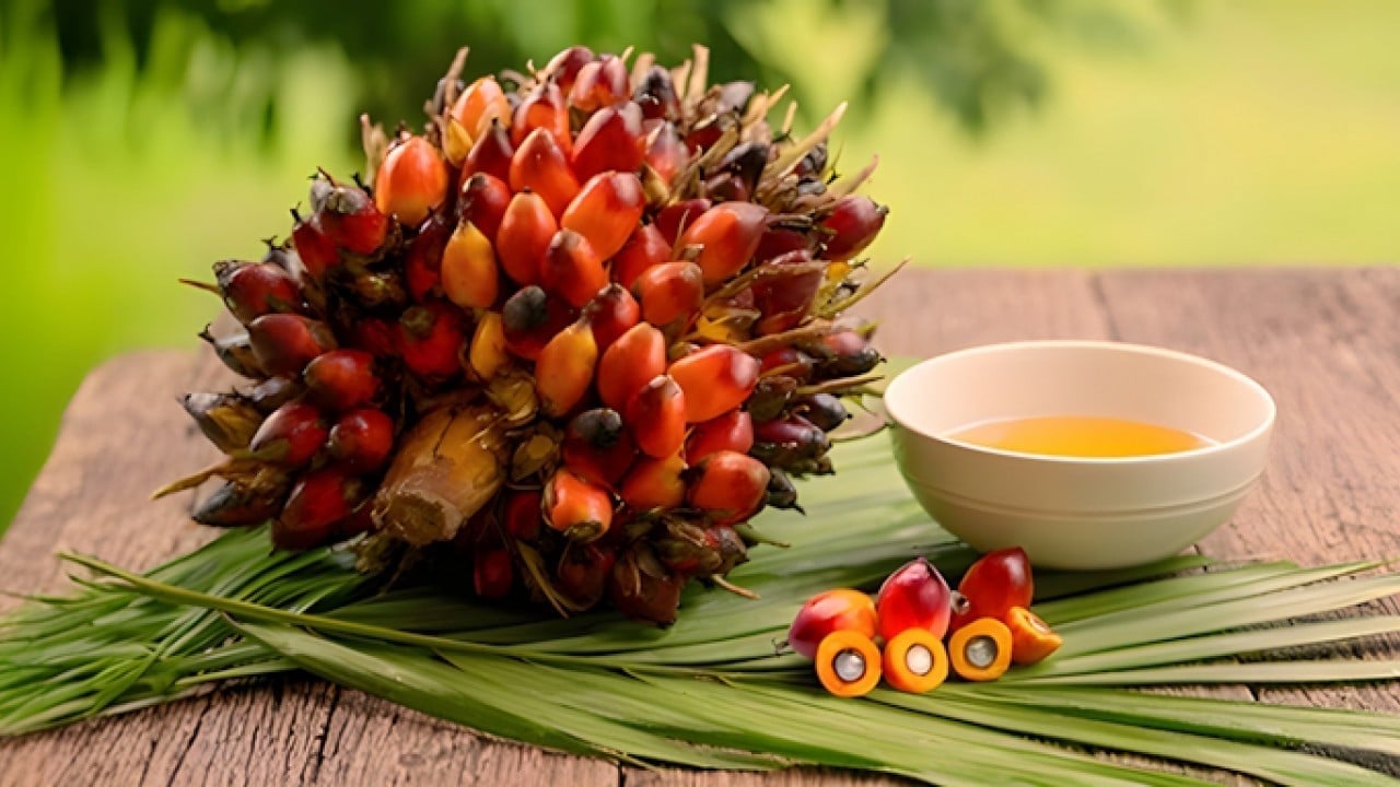 Foto - Gıda ithalatında yeni dönem! 1 Ocak sonrası için uyarı: Kurallara uymayan giremeyecek