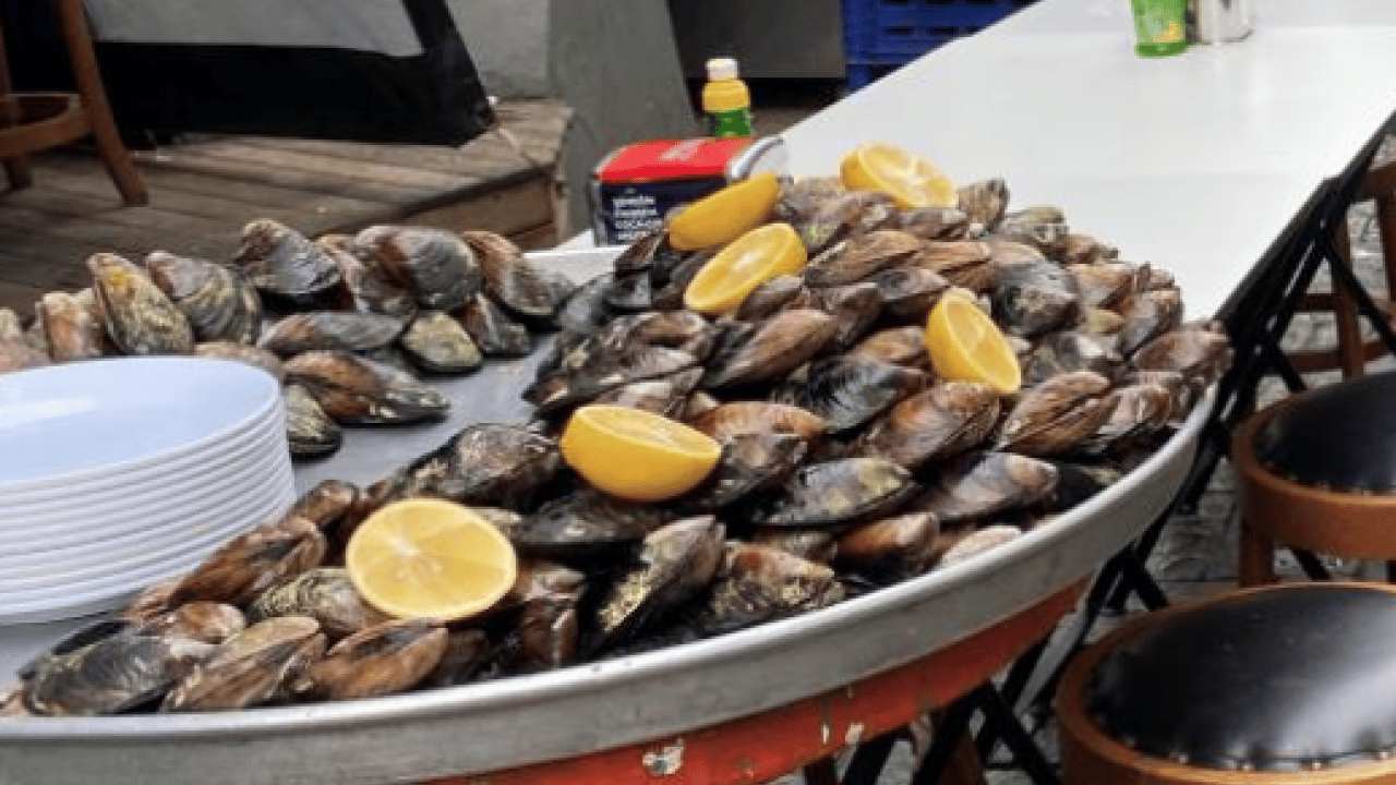 Sokak lezzetleri gıda zehirlenmesi riskini artırıyor...