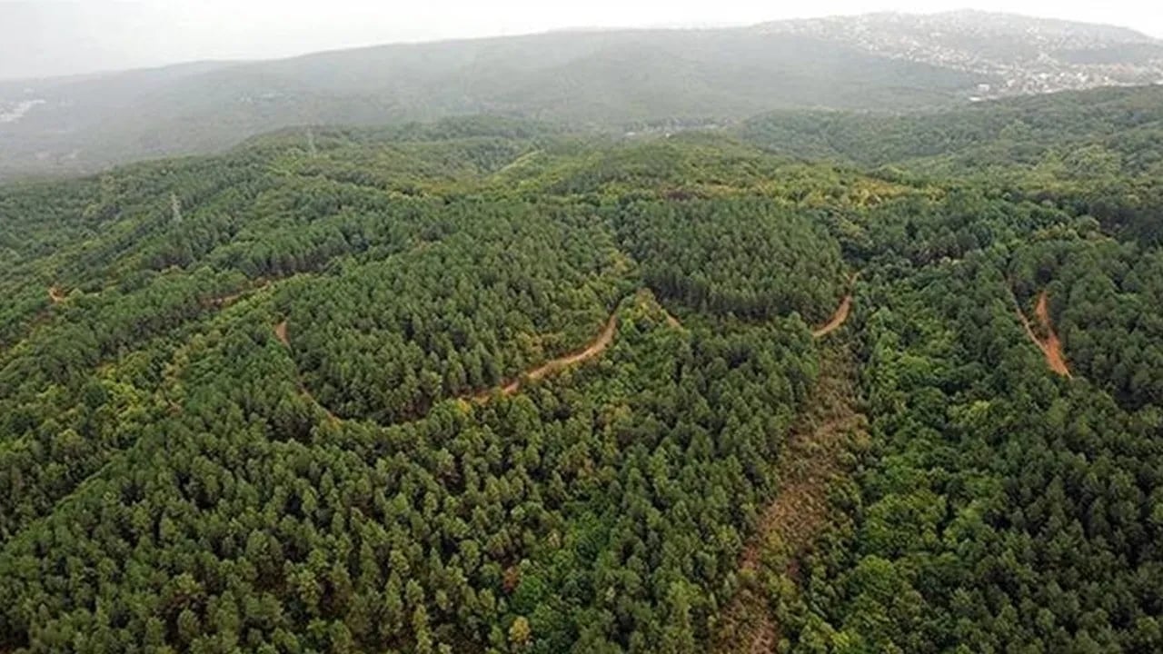 Gidip kapıdan dönebilirsiniz! 30 Ekim’e kadar ormanlık alanlara girişler yasaklandı, uymayanlara ceza uygulanacak