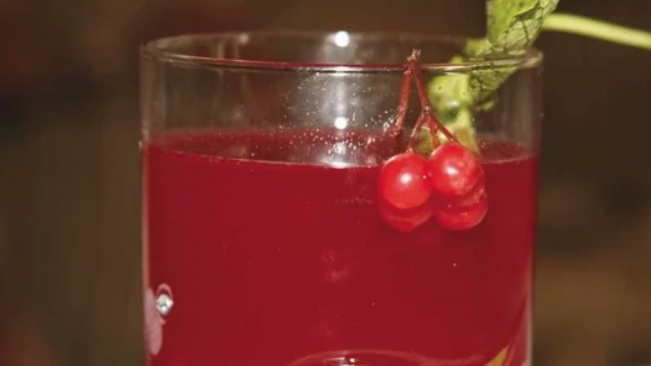 Foto - Gilaburu meyvesi ne ise yarar? Böbrek taşına yararı şaşırttı...