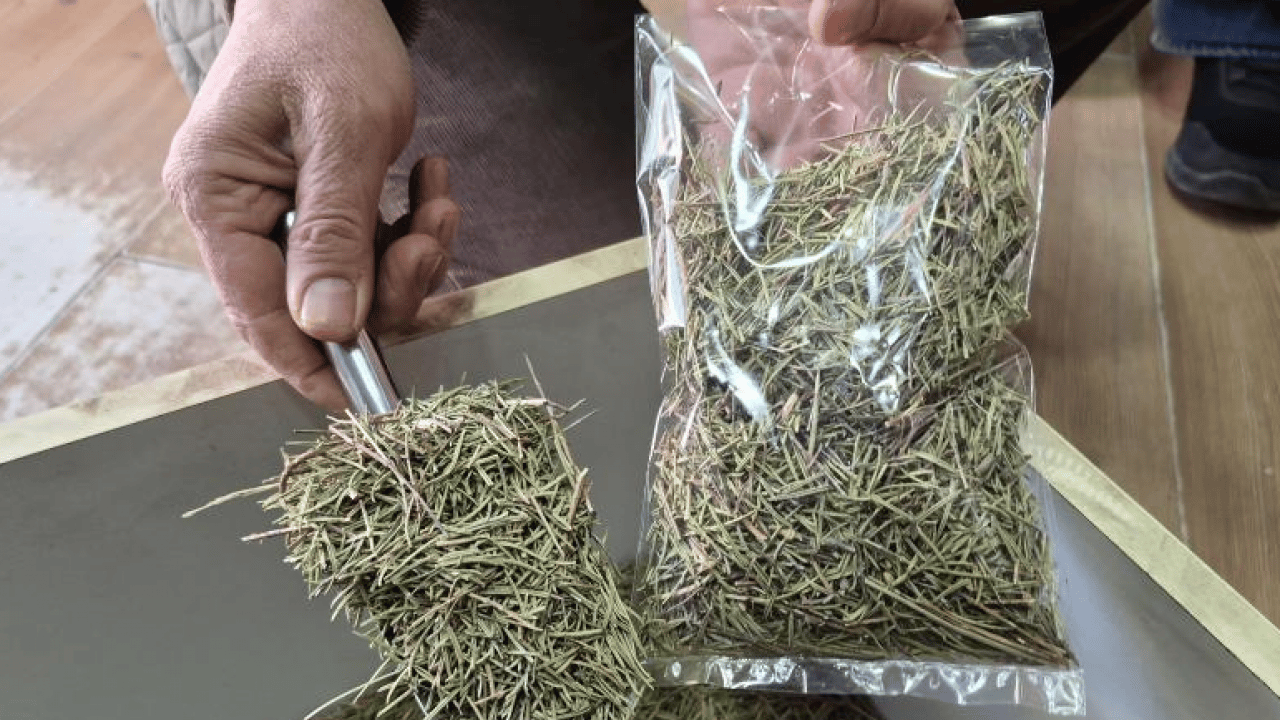 Foto - Ginkgo biloba, ginseng ve propolis... İşte dikkat dağınıklığı için kullanılabilecek bitkisel ürünler!