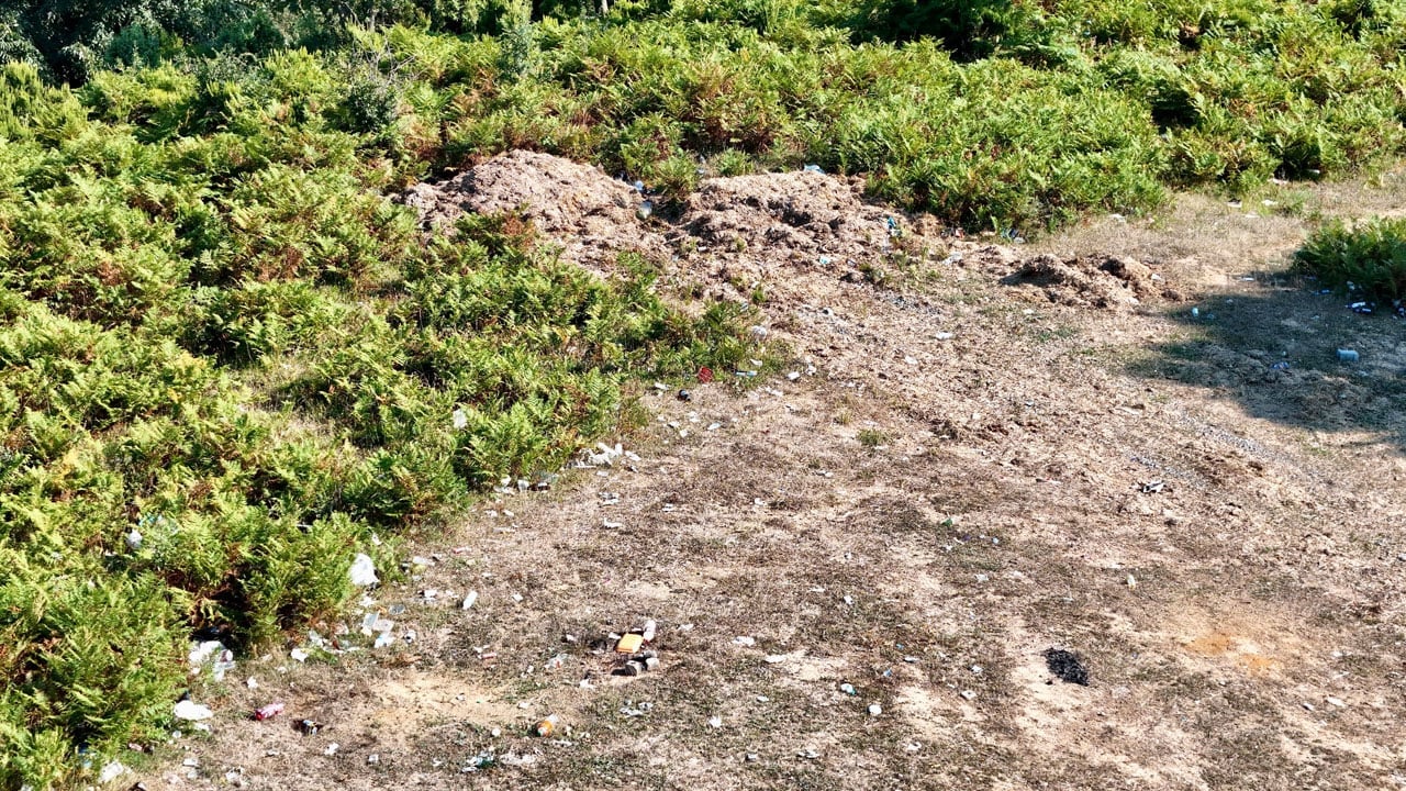 Foto - Girişi yasaklanan ormanı çöplüğe çevirdiler