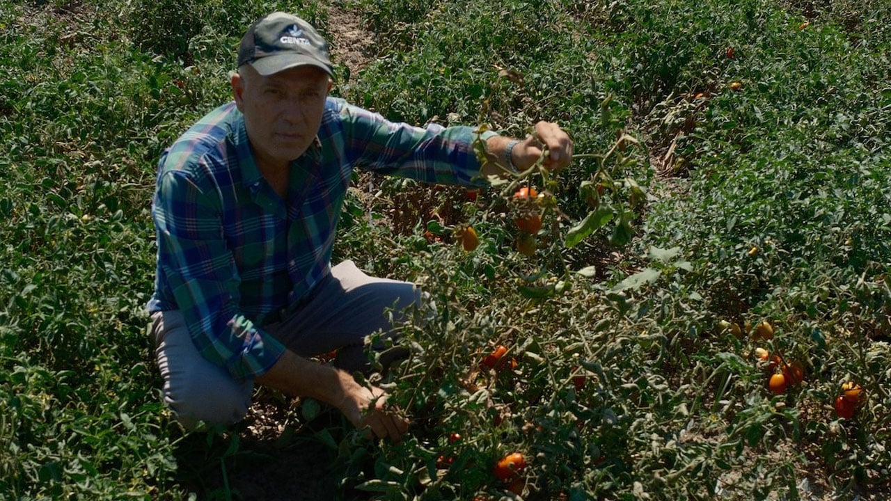Foto - Girişimciden başarı hikayesi! Londra'da fast food kralıydı kazandığını memleketine yatırdı