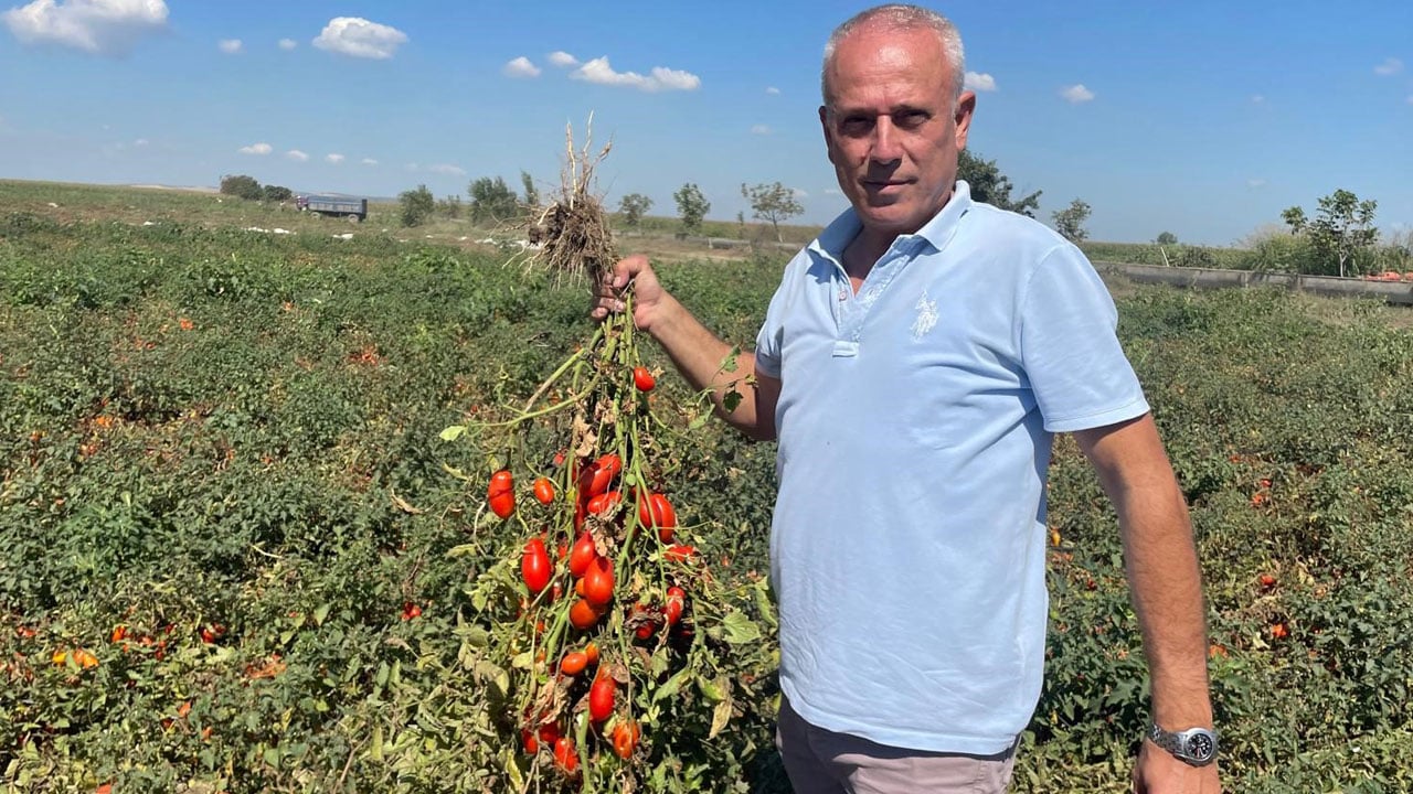 Foto - Girişimciden başarı hikayesi! Londra'da fast food kralıydı kazandığını memleketine yatırdı