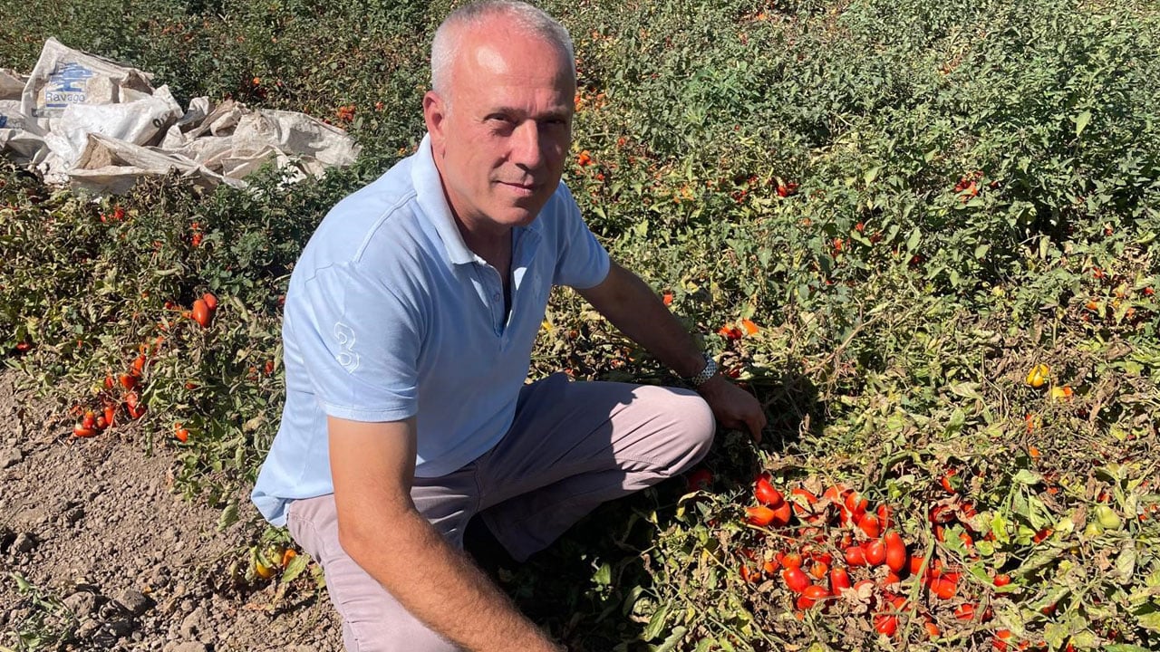 Girişimciden başarı hikayesi! Londra'da fast food kralıydı kazandığını memleketine yatırdı