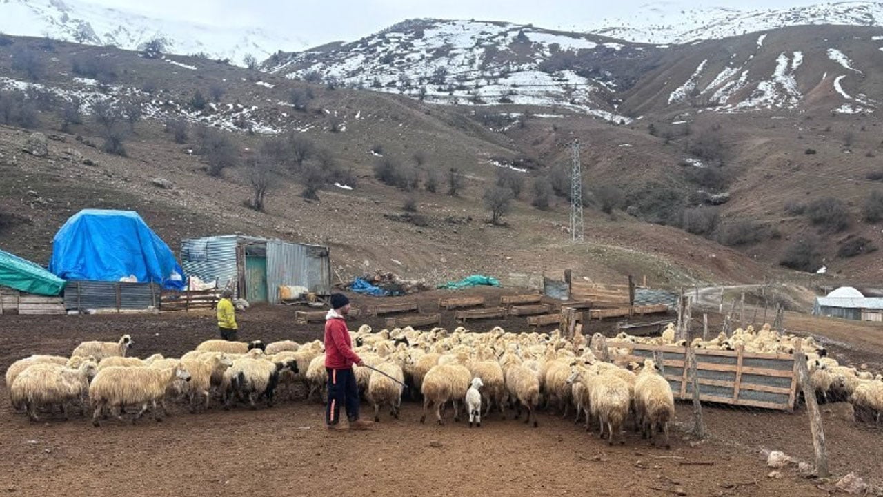 Foto - Gizemli hastalık Erzincan’ı korkuttu: Bir anda düşüp ölüyorlar!