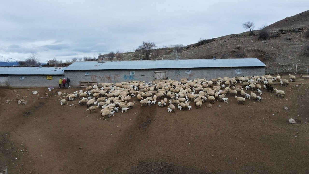Foto - Gizemli hastalık Erzincan’ı korkuttu: Bir anda düşüp ölüyorlar!