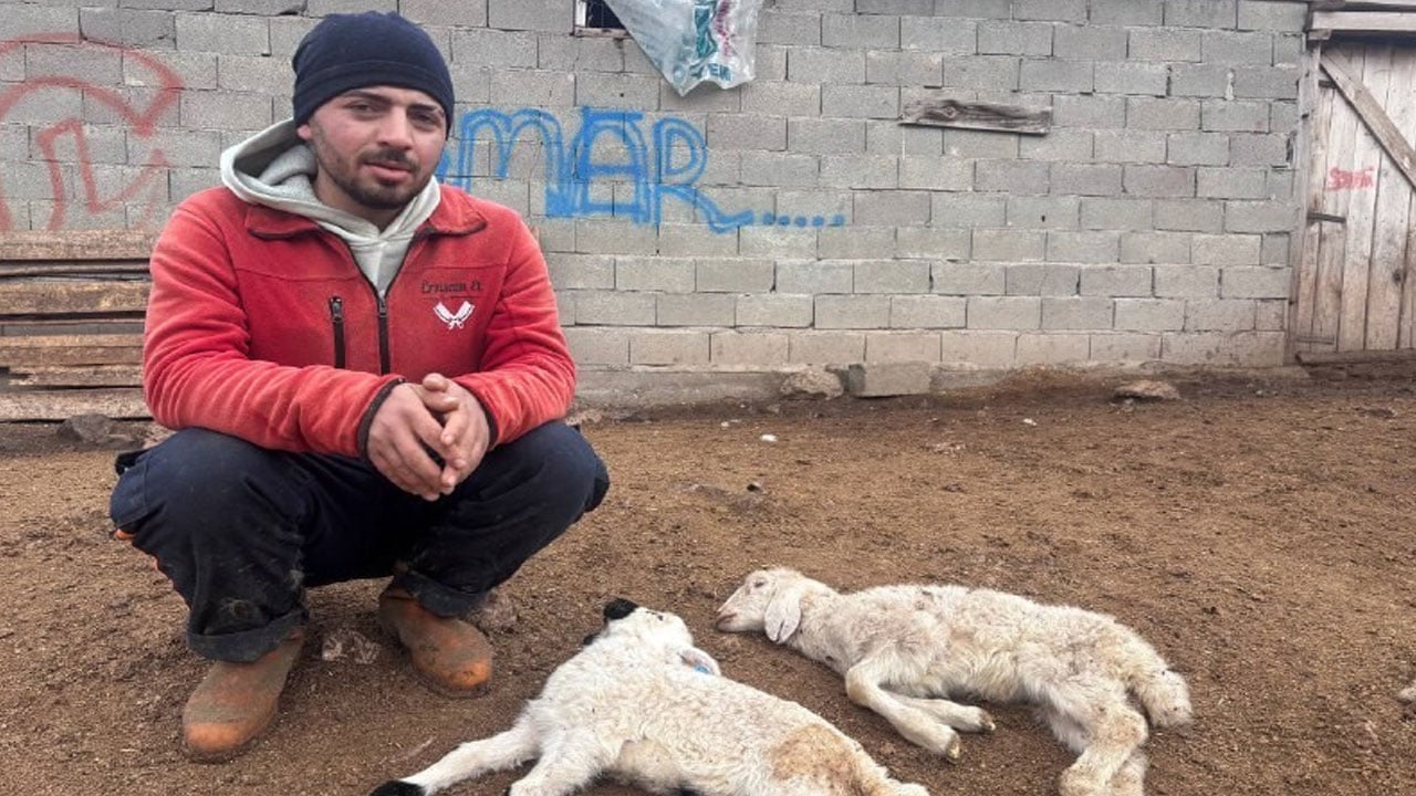 Foto - Gizemli hastalık Erzincan’ı korkuttu: Bir anda düşüp ölüyorlar!