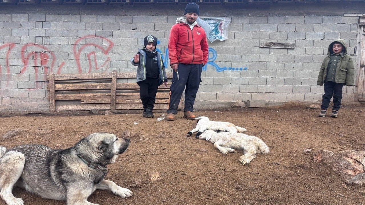 Gizemli hastalık Erzincan’ı korkuttu: Bir anda düşüp ölüyorlar!