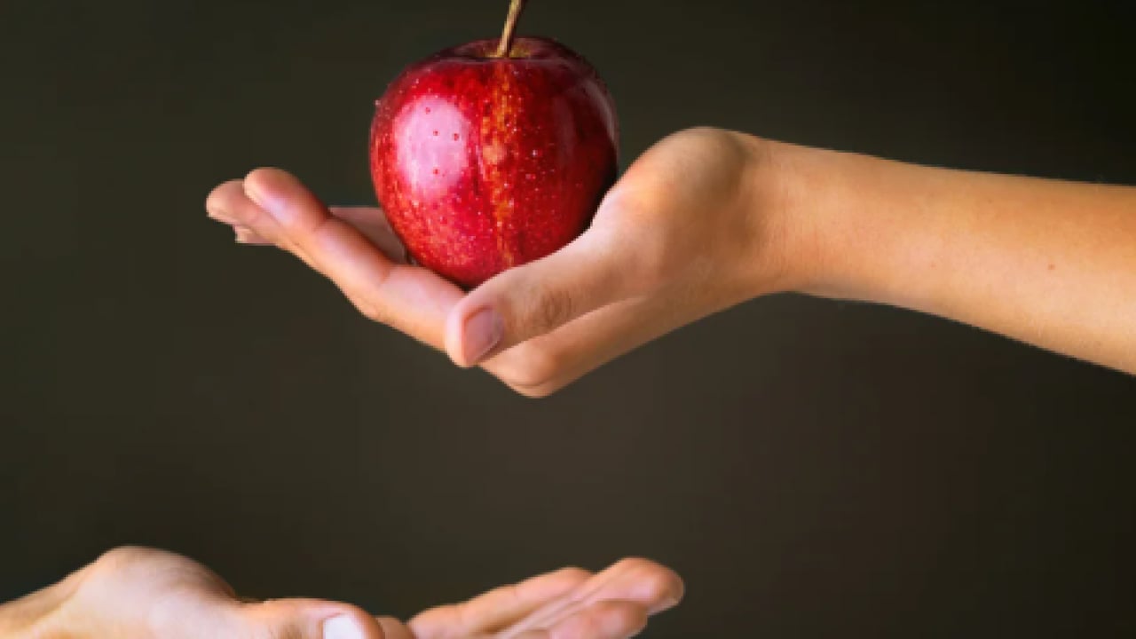 Foto - Gizli işarete dikkat: İyi elma nasıl anlaşılır?