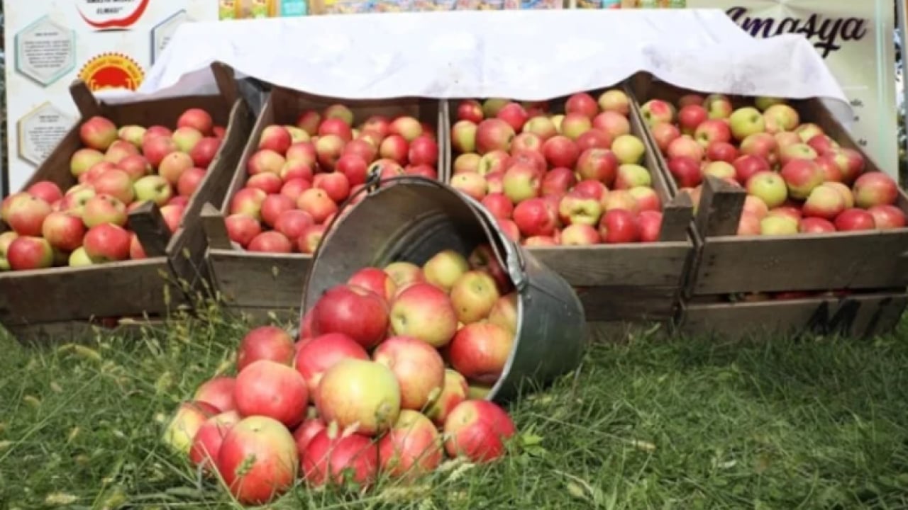 Foto - Gizli işarete dikkat: İyi elma nasıl anlaşılır?