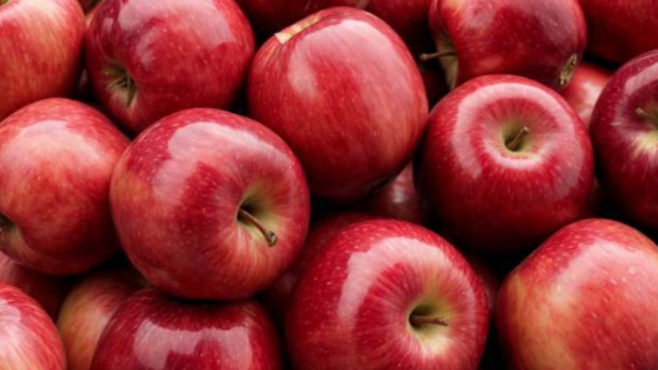 Foto - Gizli işarete dikkat: İyi elma nasıl anlaşılır?