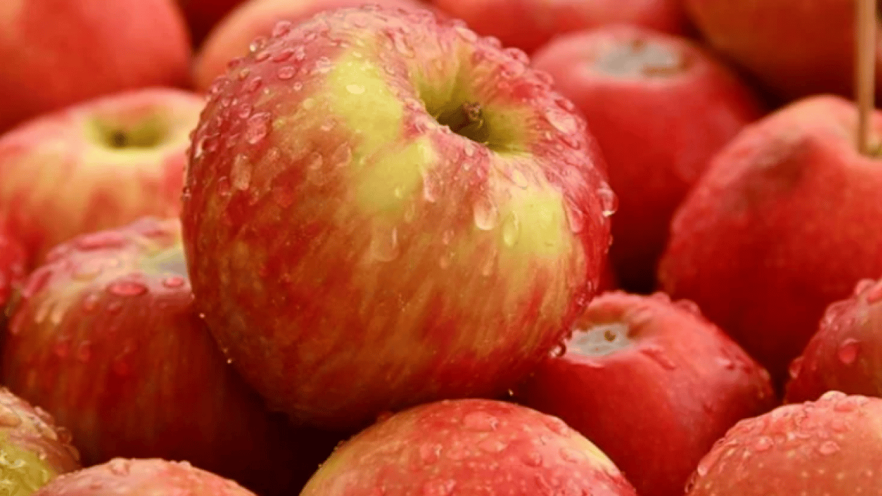 Gizli işarete dikkat: İyi elma nasıl anlaşılır?