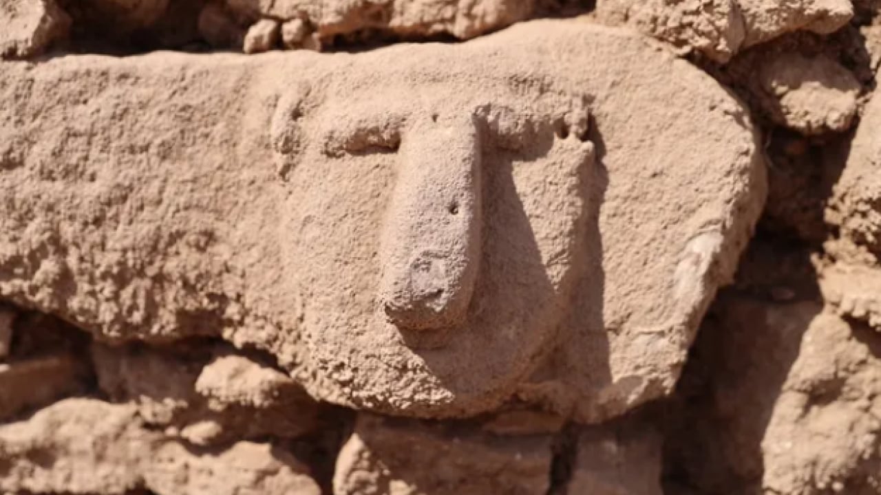Foto - Göbeklitepe'den bile eski!: 12 bin yıllık yüz ortaya çıktı!