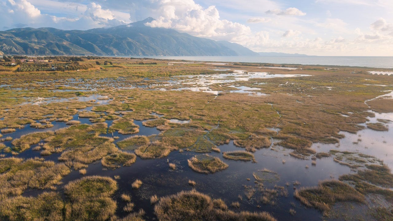 Foto - Göç yolunun gözde durağı! Milleyha Sulak Alanı kuşlarla doldu