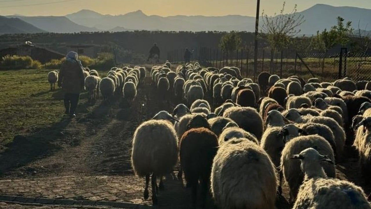 Foto - Göçerlerin zorlu yolculuğu başladı Diyarbakır'dan göçme zamanı