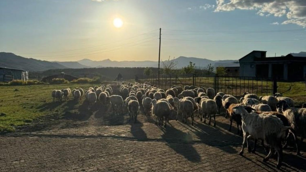 Foto - Göçerlerin zorlu yolculuğu başladı Diyarbakır'dan göçme zamanı