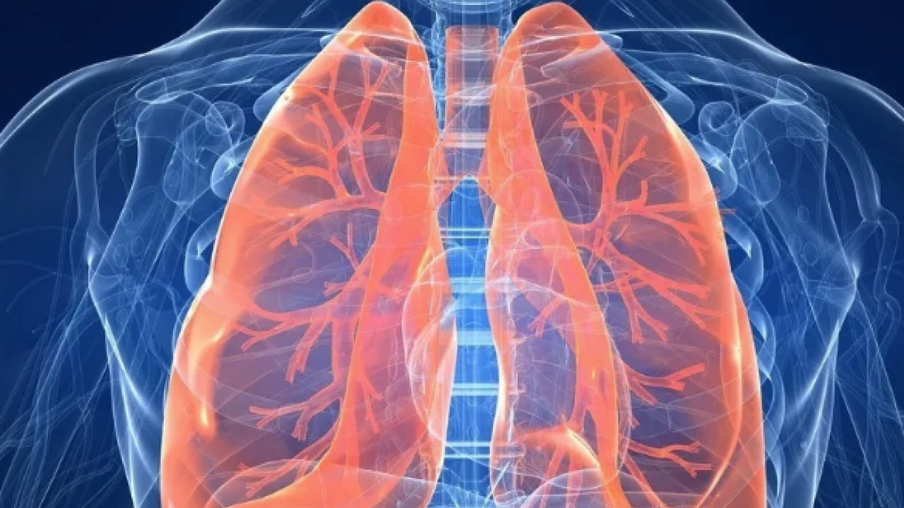 Foto - Göğüs hastalıkları hekiminden pulmoner rehabilitasyon çağrısı