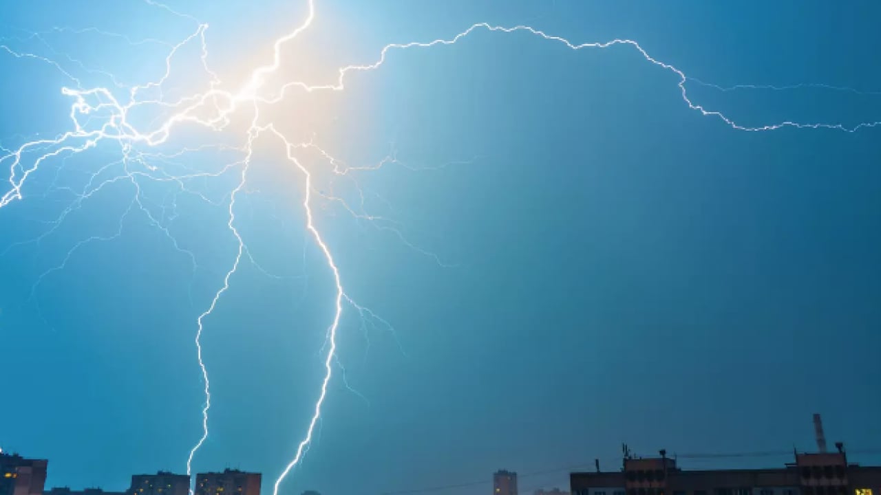 Foto - Gök gürlediği anda bir ağacın altına koşmayın! Sebebi şoke ediyor! Enteresan bir rapor!