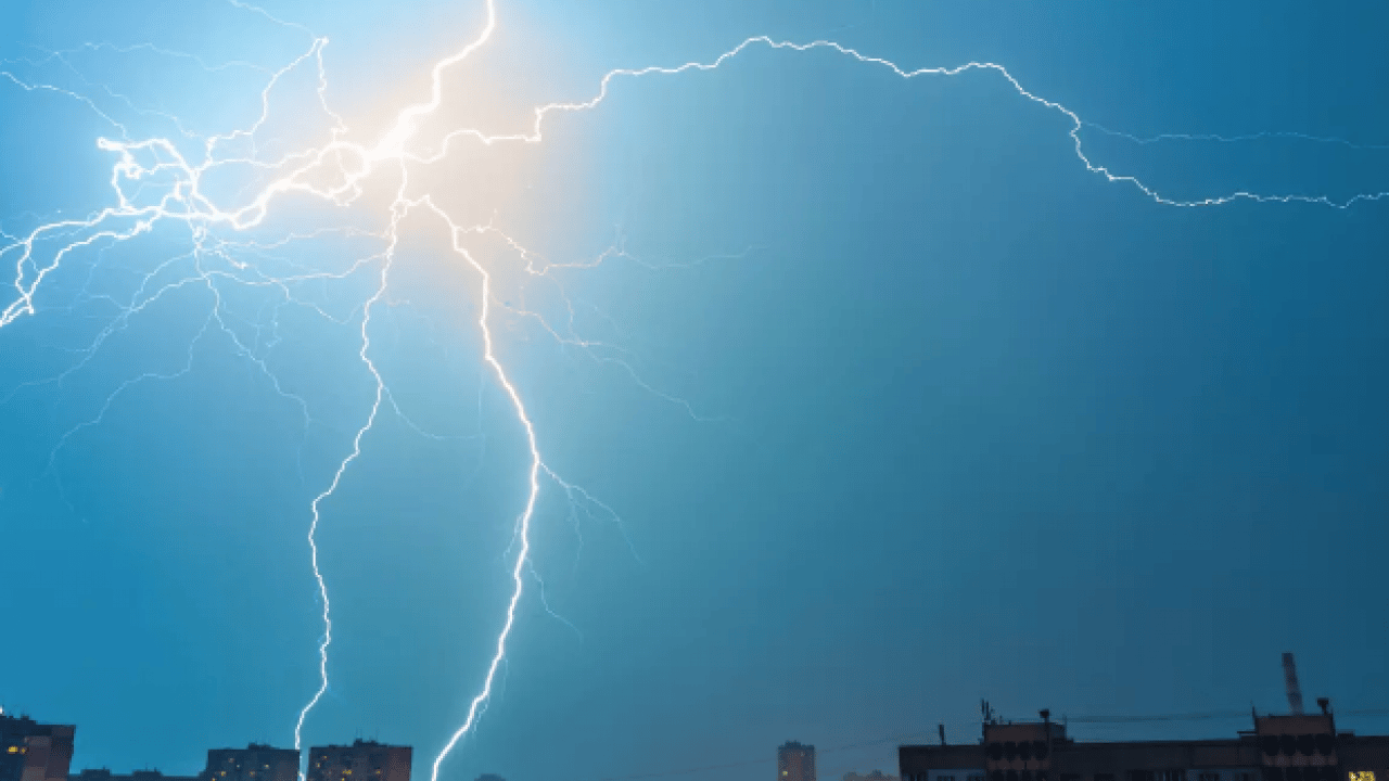 Foto - Gök gürlediği anda bir ağacın altına koşmayın! Sebebi şoke ediyor! Enteresan bir rapor!