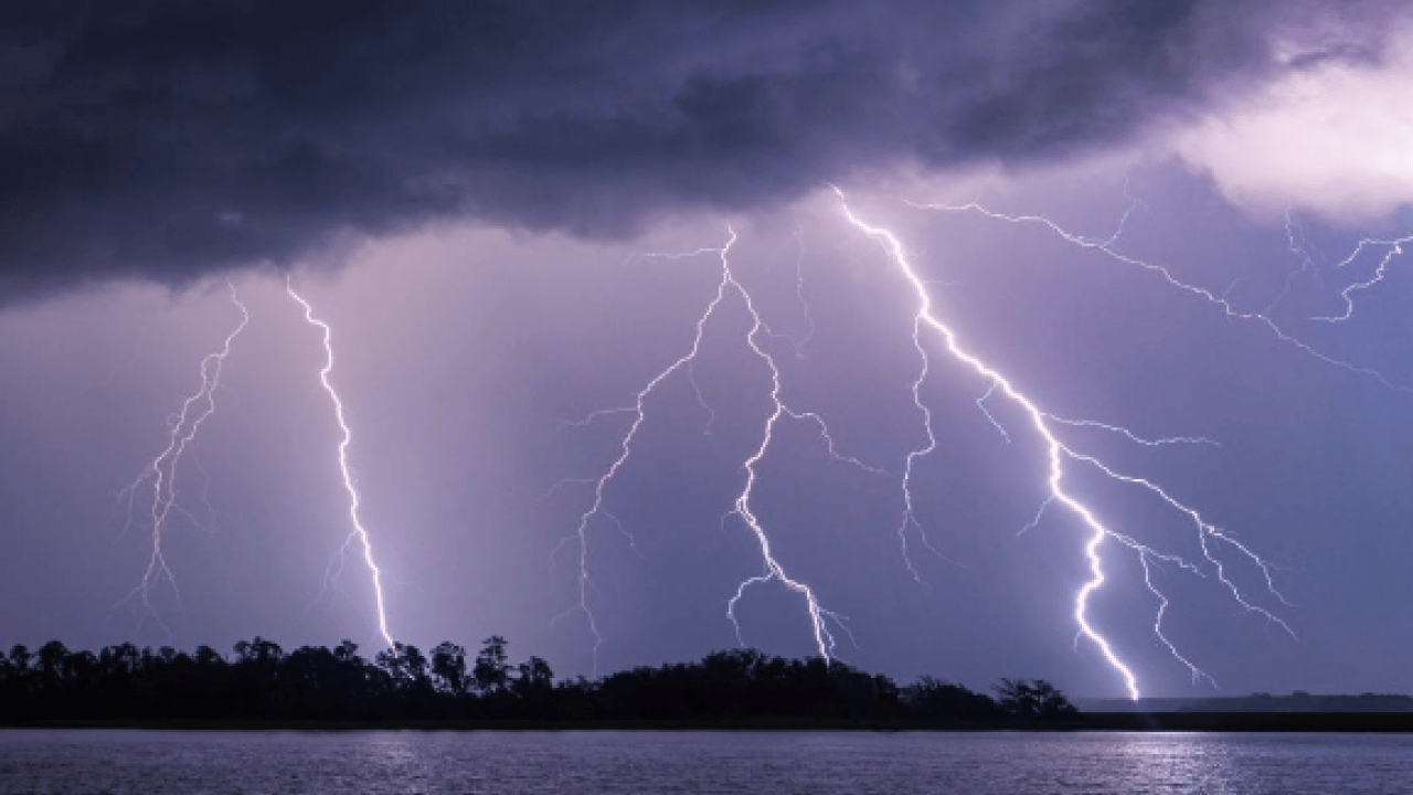 Foto - Gök gürlediği anda bir ağacın altına koşmayın! Sebebi şoke ediyor! Enteresan bir rapor!